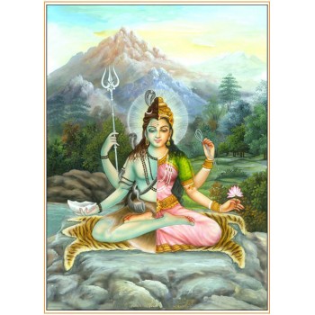 Ardhanareeshwara meditating